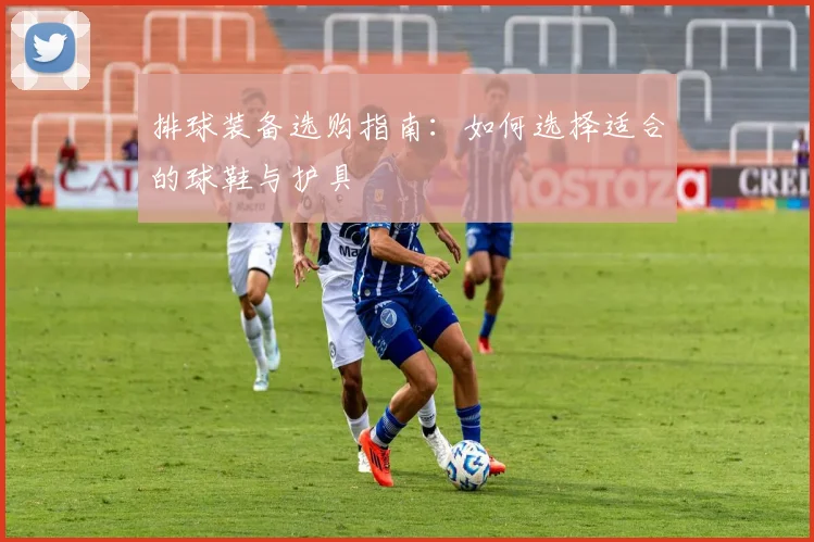 排球装备选购指南：如何选择适合的球鞋与护具