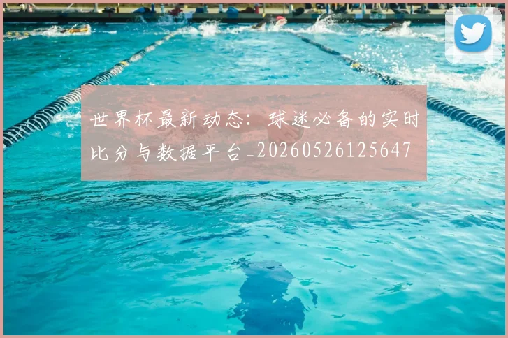 世界杯最新动态:球迷必备的实时比分与数据平台_20260526125647