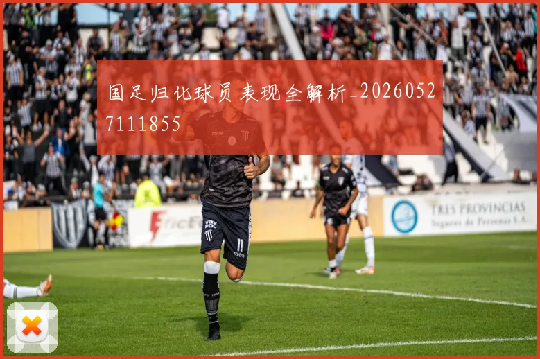 国足归化球员表现全解析_20260527111855